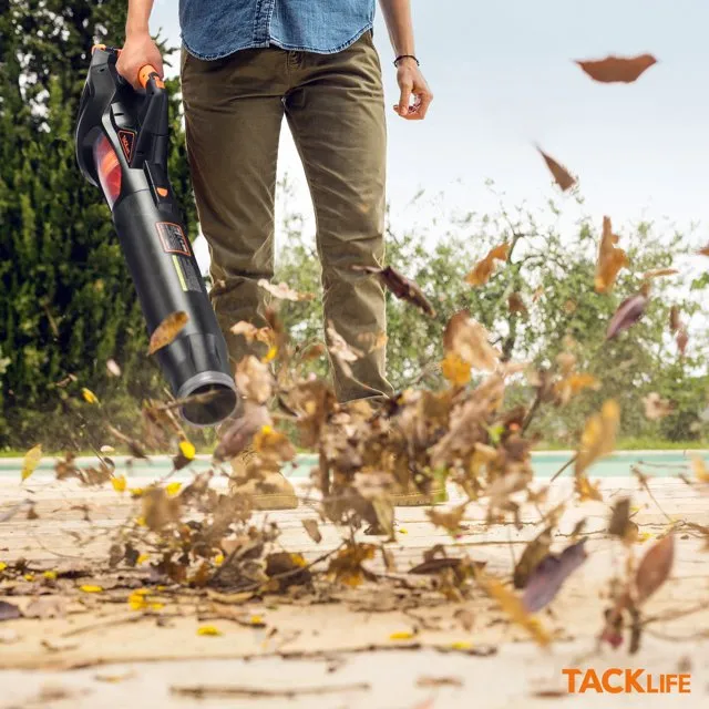 40V Cordless Leaf Blower with 4.0Ah Battery & Charger, Brushless Motor and 5-Speed Optional