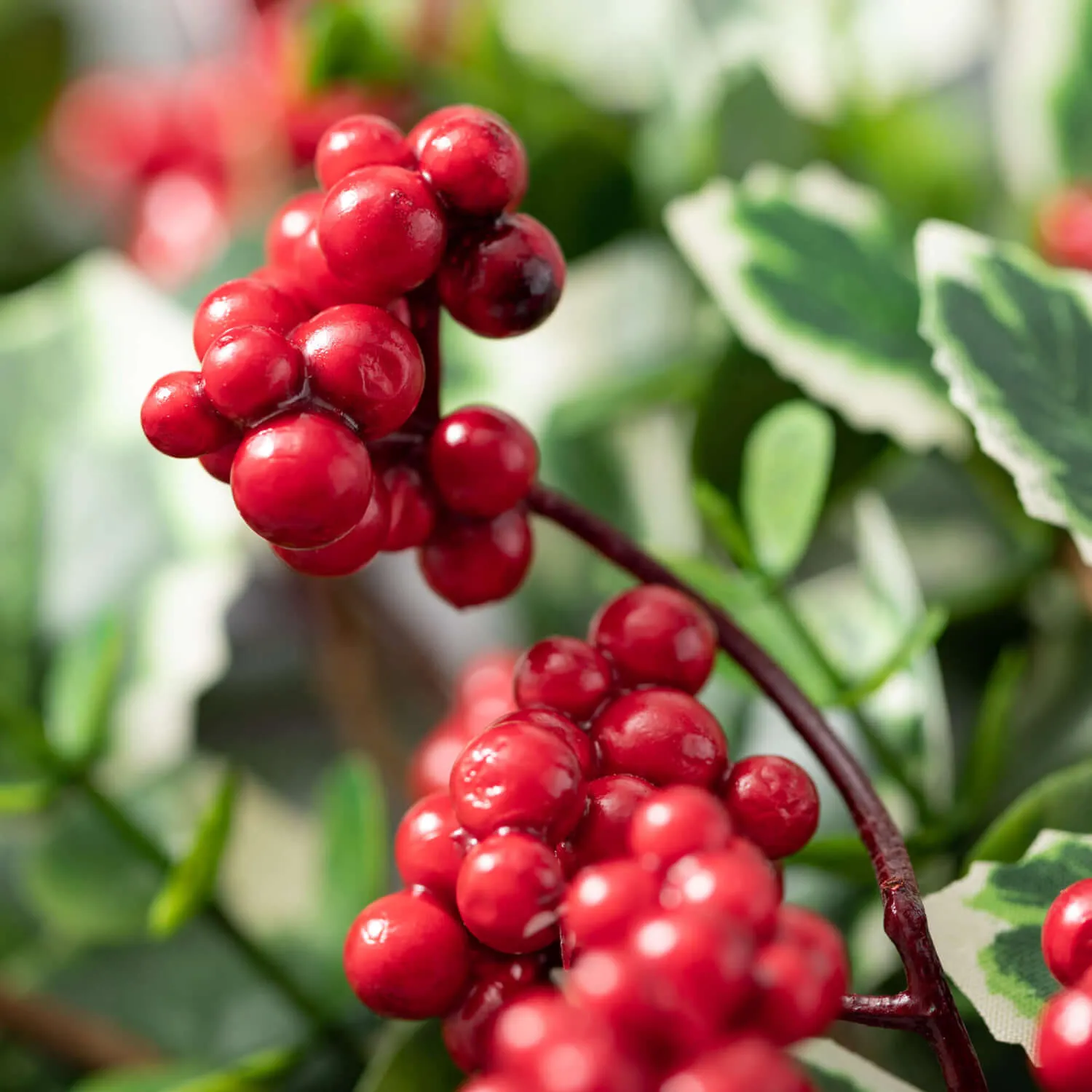 Berry/Holly Garland