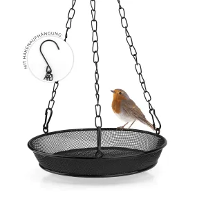 Hanging Mealworm Feeder  7in - Metal Bird Feeding Station For Year-Round