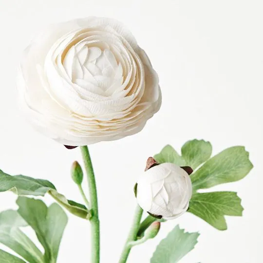 Ranunculus Spray Winter White 50CML